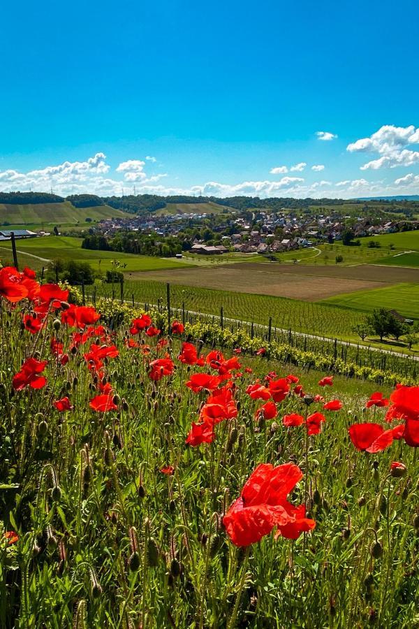 Pflaumers * Eppingen